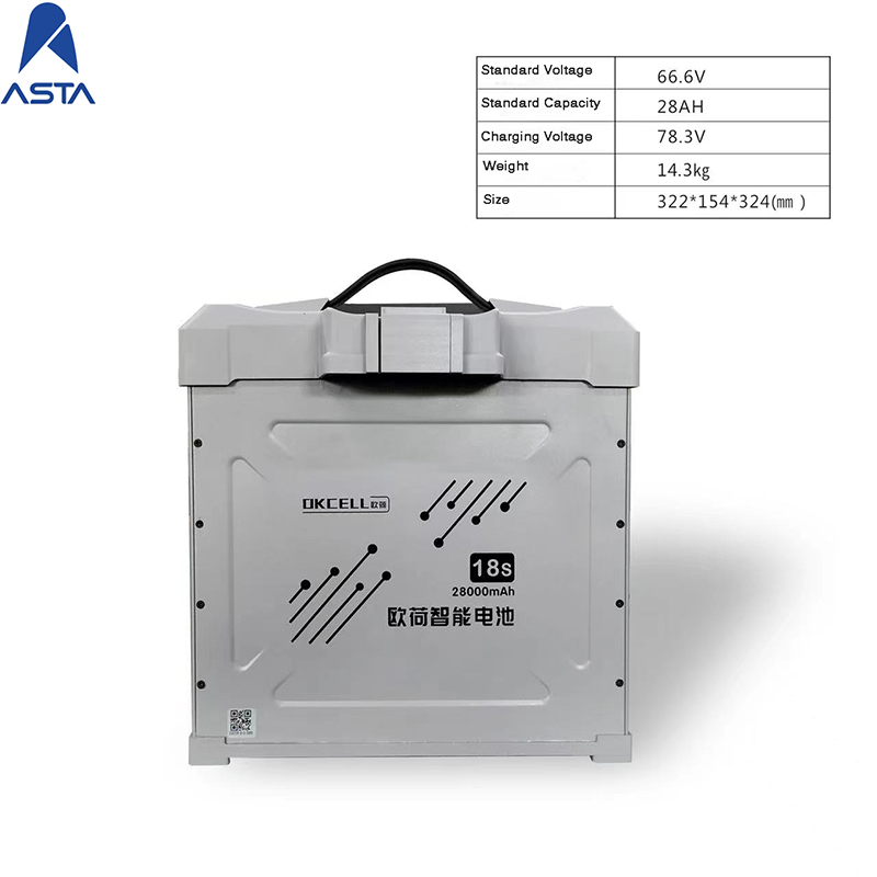 6000w battery charger